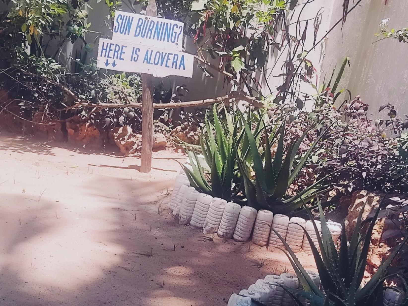Maua Beach Hotell Kizimkazi Exteriör bild